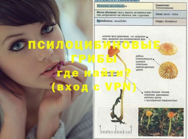 мдпв Баксан