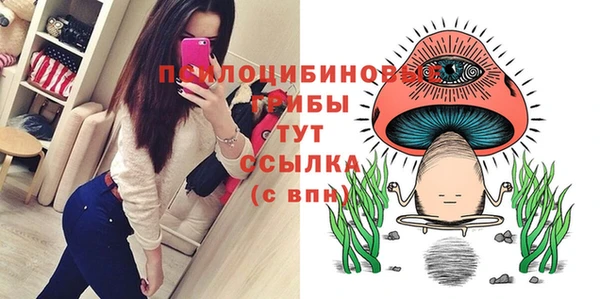 первитин Бутурлиновка