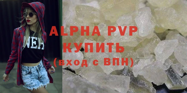 стаф Арсеньев
