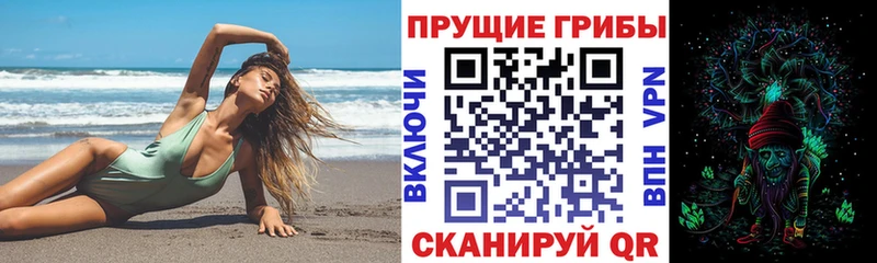 Псилоцибиновые грибы мицелий  Татарск 