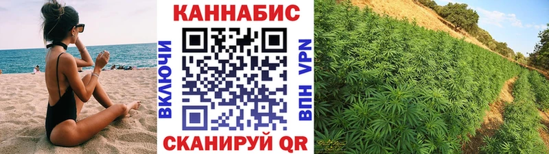 Бошки Шишки семена Татарск